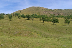 Blick zum Rana, im Vordergrund die "Zieselwiesen"