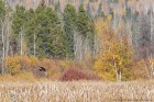 WRH_2647