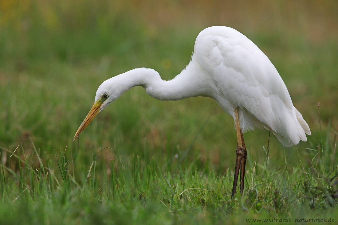 EOS 5D Mark IV_2018_05_26_56651