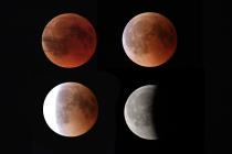 mond