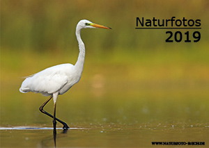 Link zur PDF Kalender 2019