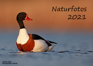 Link zur PDF Kalender 2021