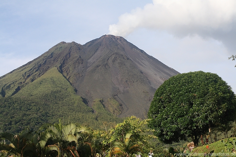 01von_arenal_nach_Monteverde_4