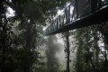 @error Brücke