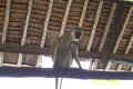 Besuch 