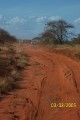 Tsavo 