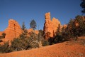 Bryce 