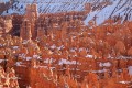 Bryce 