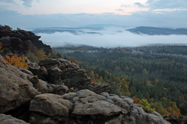 Blick vom Gohrisch