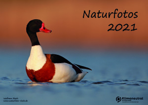 kalender_2021_mit_zertifikat-1
